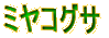 �~���R�O�T