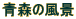 �X�̕��i