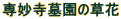 �ꖭ���所�̑���