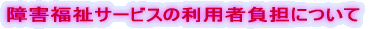 ��Q�����T�[�r�X�̗��p�ҕ��S�ɂ���