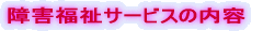 ��Q�����T�[�r�X�̓��e