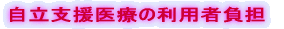 �����x����Â̗��p�ҕ��S